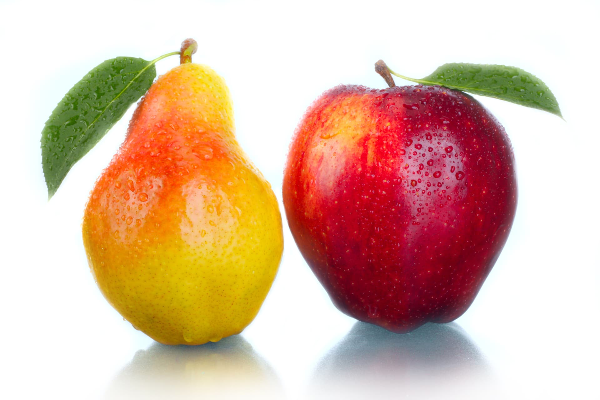 pear and apple comparing body shape